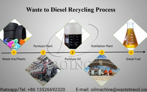 Which oil can be used as a substitute for diesel?